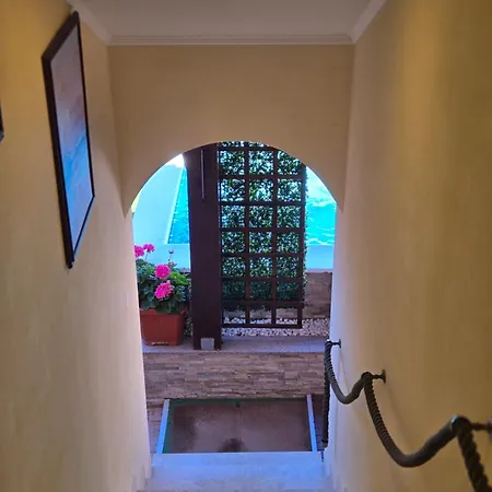 Bed & Breakfast Adriana 3*
